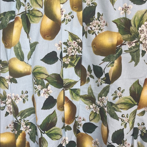 Zara Fruit Print midi Dress with Belt - Picture 5 of 7